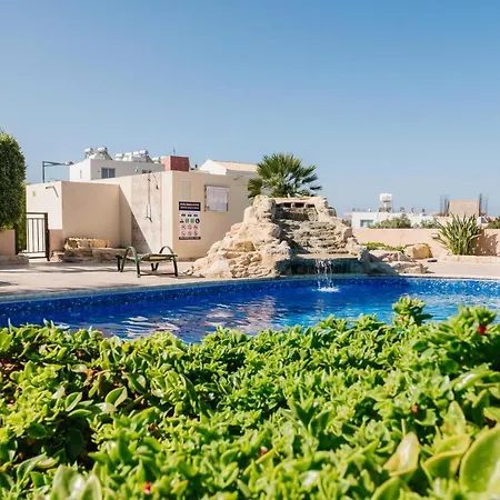 Olives Cozy Nest In Paphos